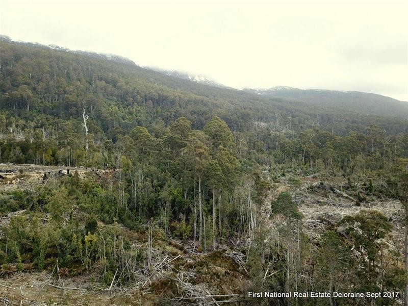 0 Blairs Road, Mole Creek TAS 7304