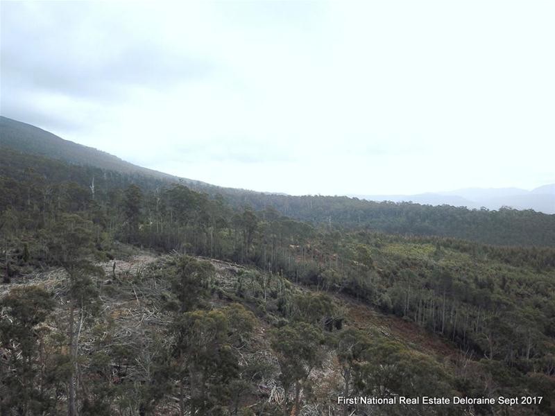 0 Blairs Road, Mole Creek TAS 7304