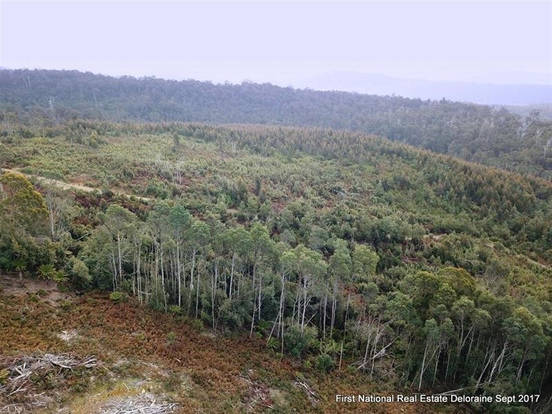 0 Blairs Road, Mole Creek TAS 7304