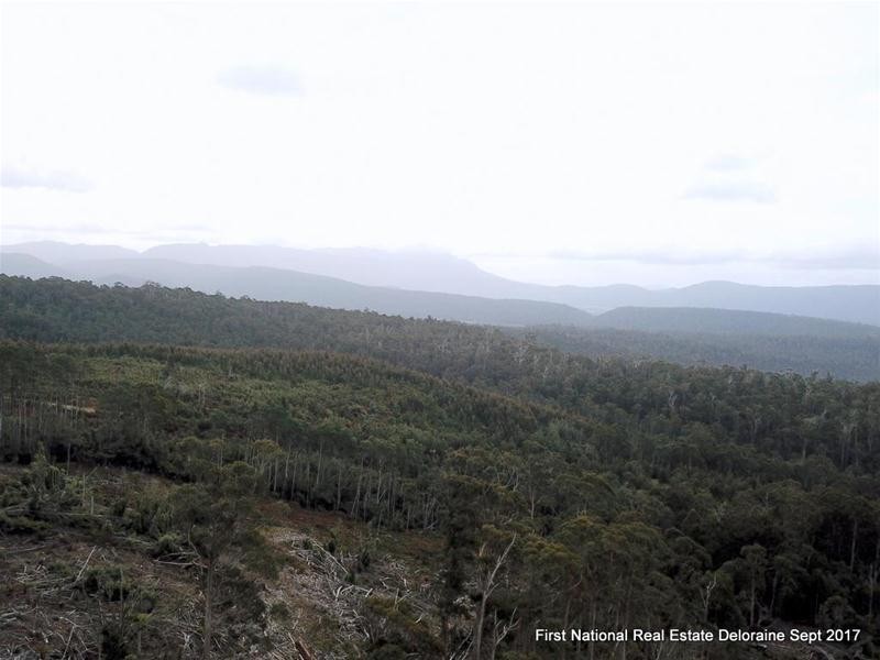 0 Blairs Road, Mole Creek TAS 7304