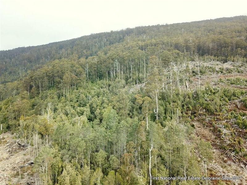 0 Blairs Road, Mole Creek TAS 7304