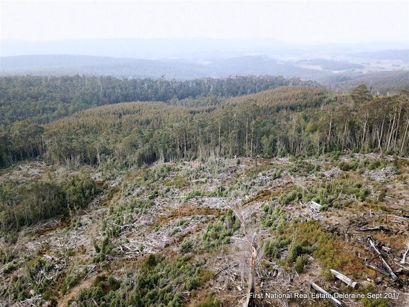 0 Blairs Road, Mole Creek TAS 7304