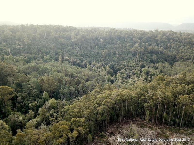 0 Blairs Road, Mole Creek TAS 7304