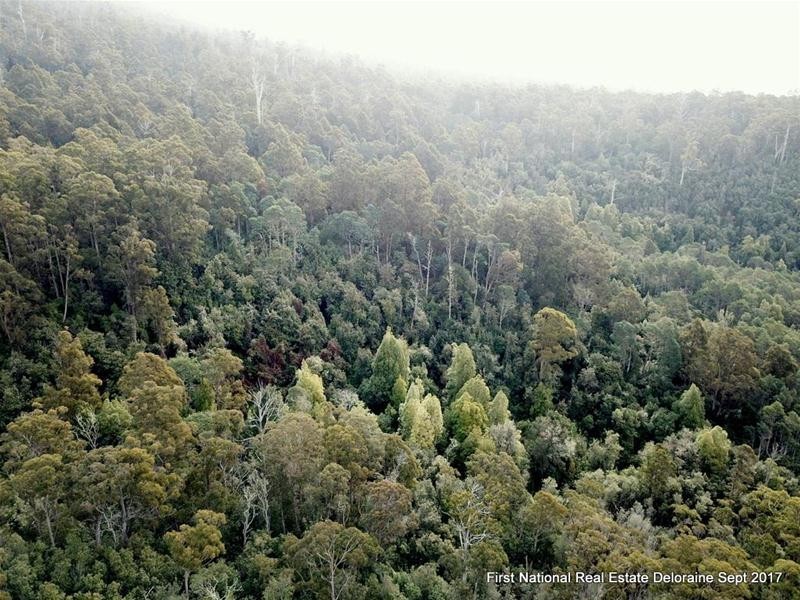 0 Blairs Road, Mole Creek TAS 7304