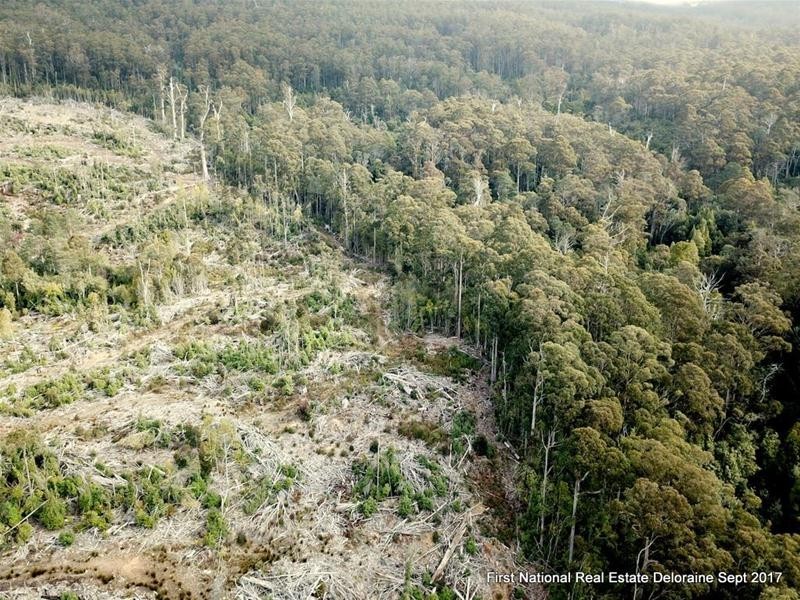 0 Blairs Road, Mole Creek TAS 7304