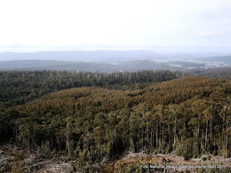 0 Blairs Road, Mole Creek TAS 7304