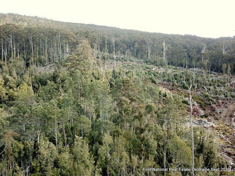 0 Blairs Road, Mole Creek TAS 7304