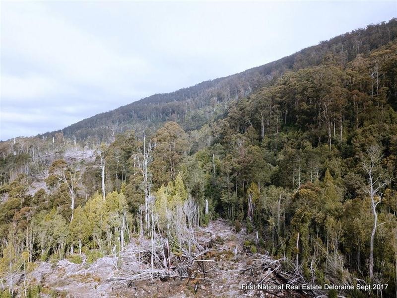 0 Blairs Road, Mole Creek TAS 7304