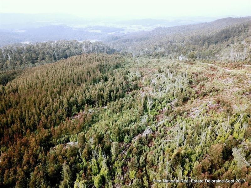 0 Blairs Road, Mole Creek TAS 7304