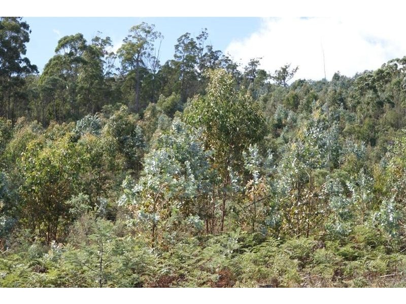 90 Geiss Road, Tunnel TAS 7254