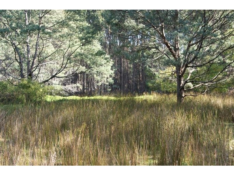 Lot 1 Weetah Road, Deloraine TAS 7304
