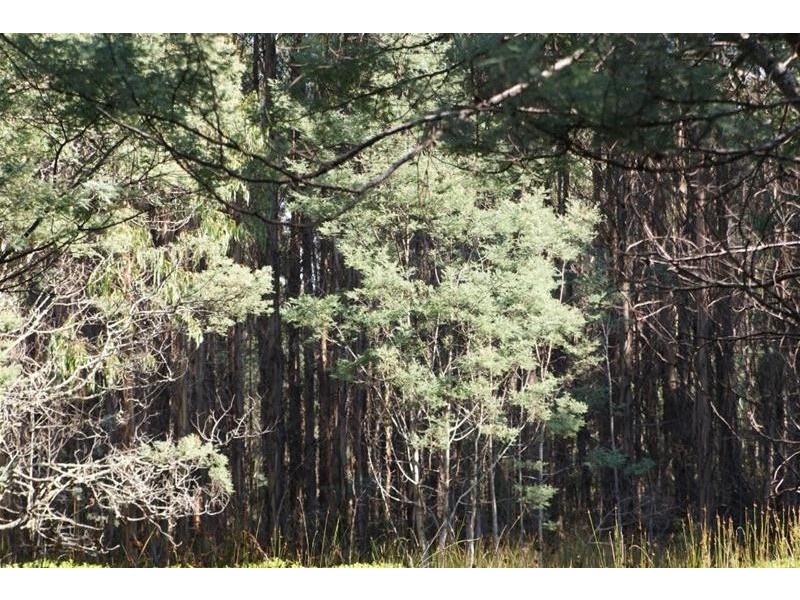 Lot 1 Weetah Road, Deloraine TAS 7304