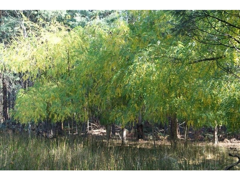 Lot 1 Weetah Road, Deloraine TAS 7304