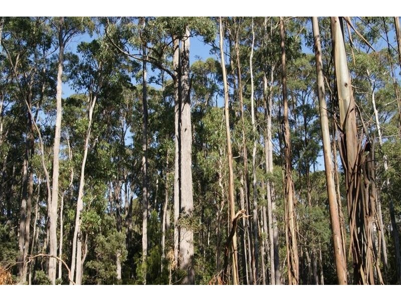 Lot 1 Weetah Road, Deloraine TAS 7304