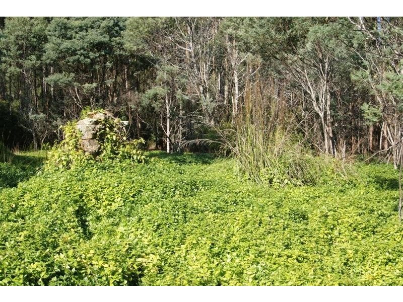 Lot 1 Weetah Road, Deloraine TAS 7304