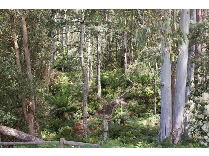0 Mersey Forest Road, Mole Creek TAS 7304