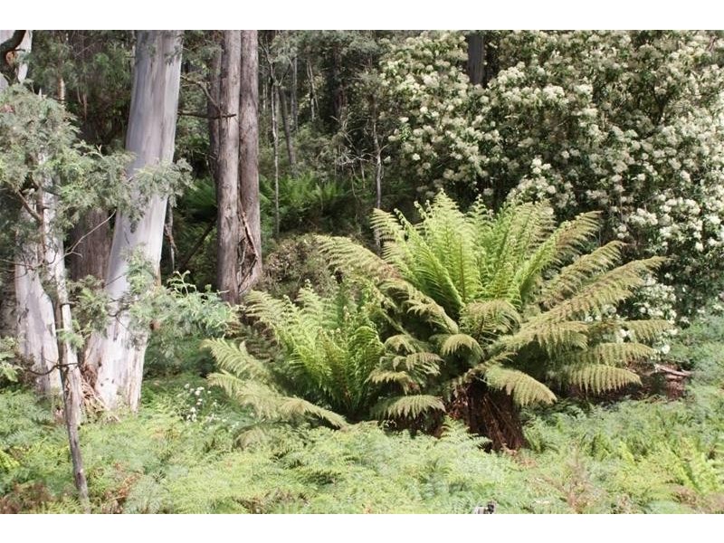 0 Mersey Forest Road, Mole Creek TAS 7304
