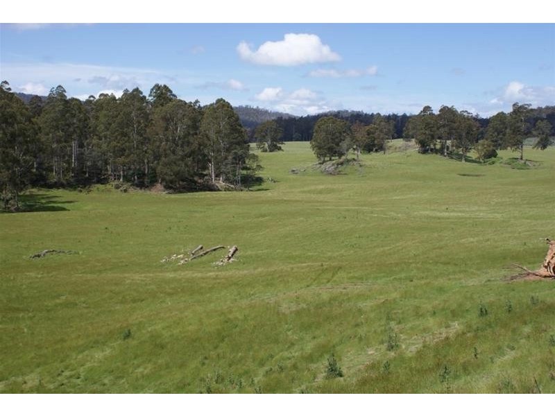 0 Mersey Forest Road, Mole Creek TAS 7304