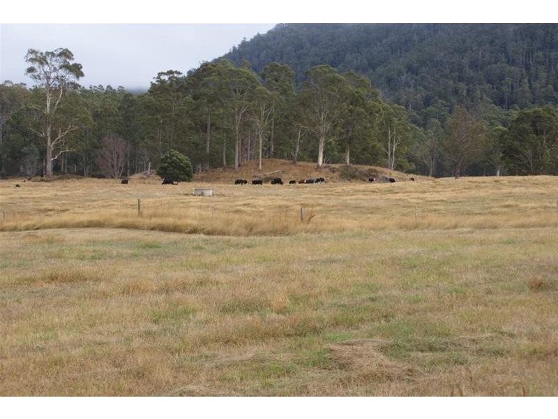 0 Mersey Forest Road, Mole Creek TAS 7304
