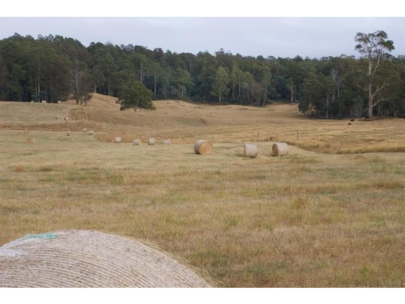 0 Mersey Forest Road, Mole Creek TAS 7304