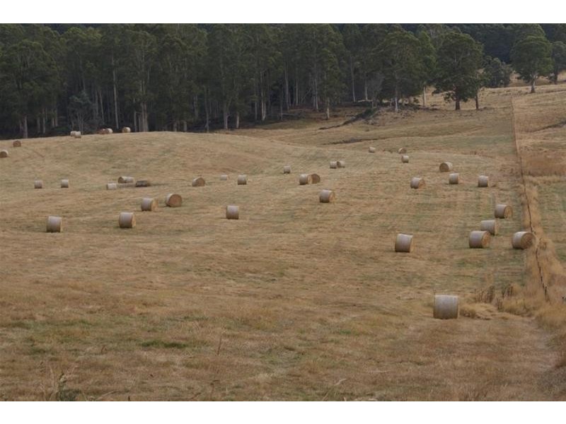 0 Mersey Forest Road, Mole Creek TAS 7304