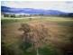 Lot 1 Dairy Plains Road, Dairy Plains TAS 7304