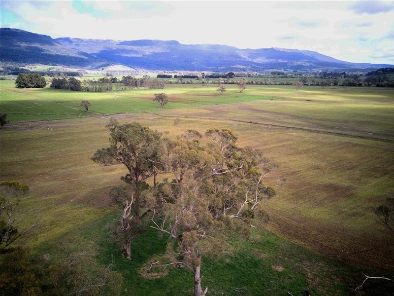 Lot 1 Dairy Plains Road, Dairy Plains TAS 7304