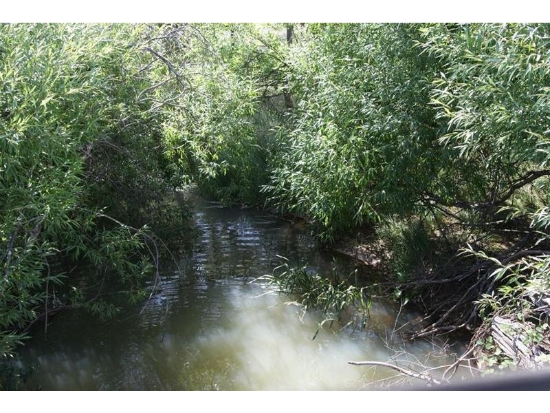 0 Eynens Road, Weetah TAS 7304