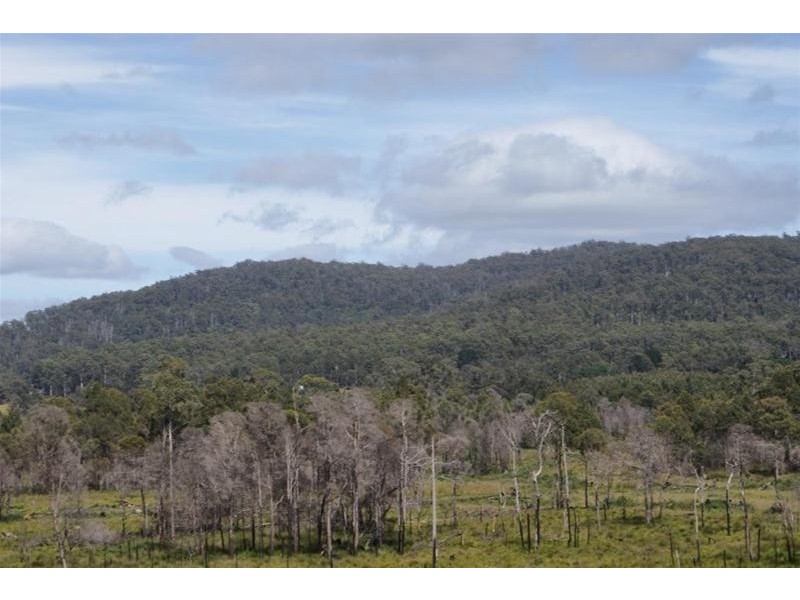 0 Eynens Road, Weetah TAS 7304