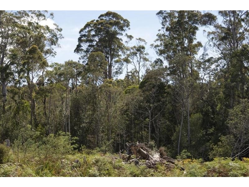 0 Eynens Road, Weetah TAS 7304