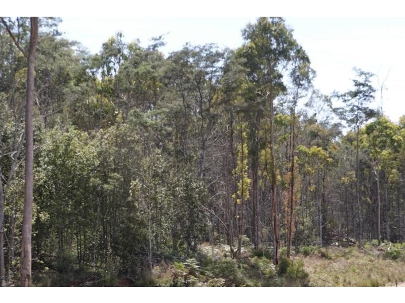 0 Eynens Road, Weetah TAS 7304