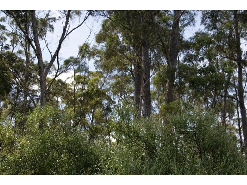 0 Eynens Road, Weetah TAS 7304