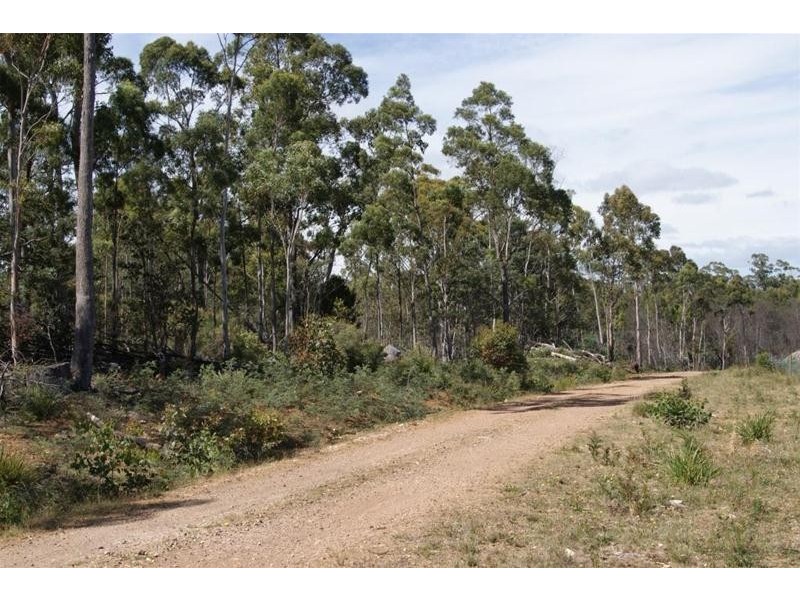 0 Eynens Road, Weetah TAS 7304