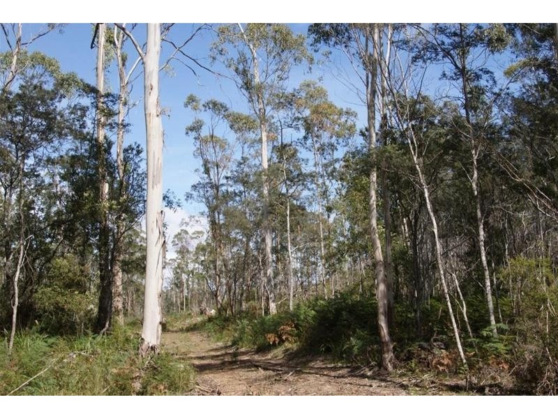 0 Eynens Road, Weetah TAS 7304