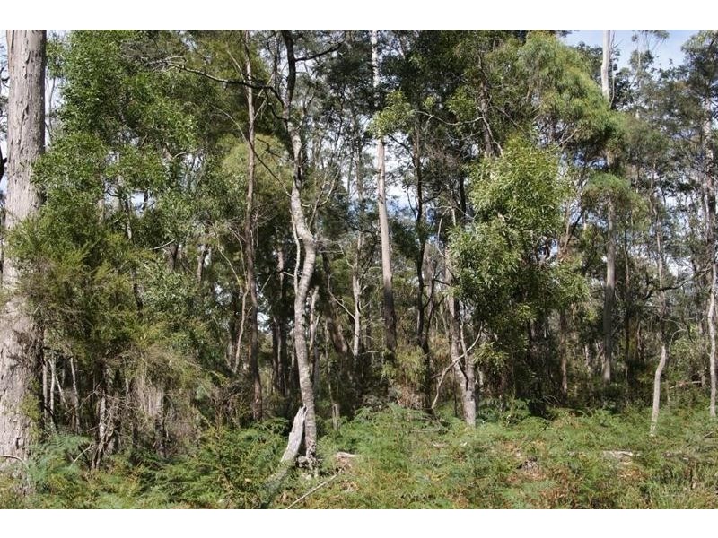 0 Eynens Road, Weetah TAS 7304