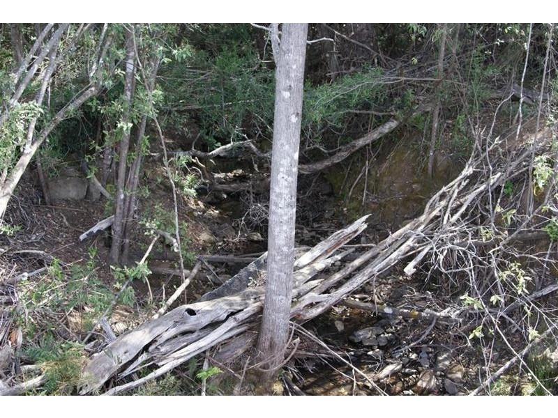 0 Eynens Road, Weetah TAS 7304