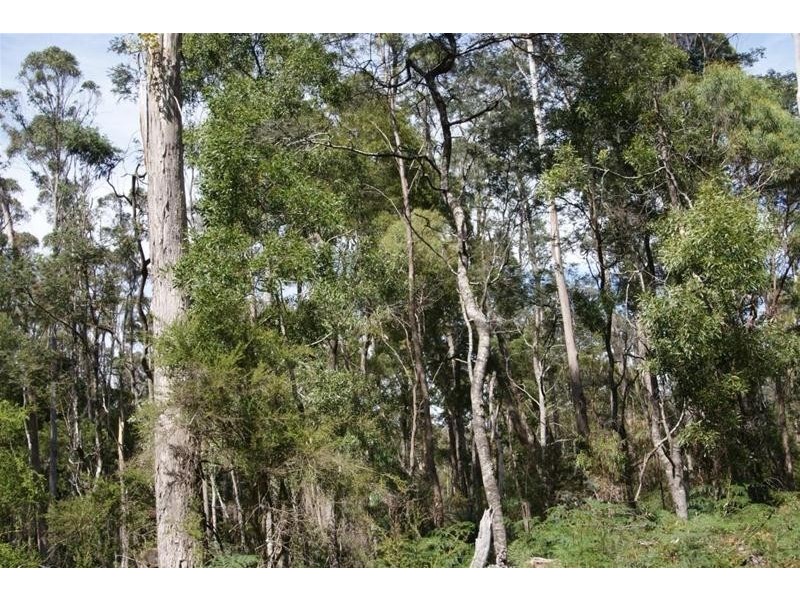 0 Eynens Road, Weetah TAS 7304