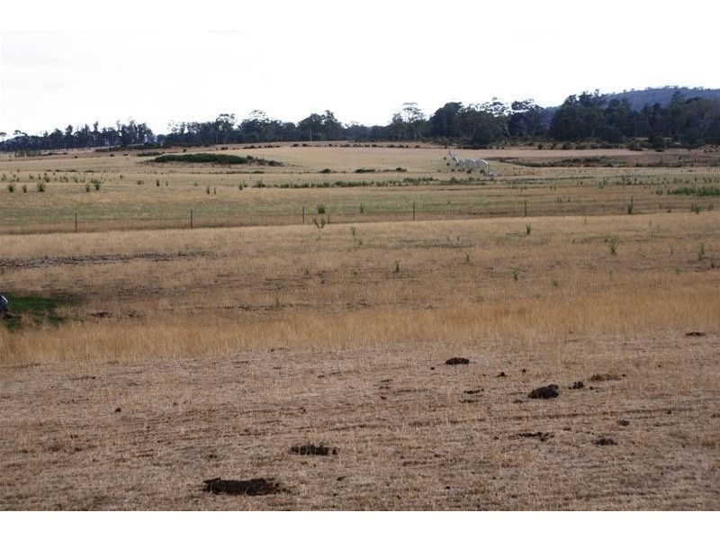 Lot 2 145 Westwood Road, Westwood TAS 7292