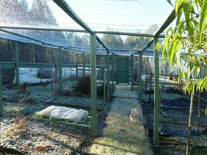 210 Old Gads Hill Road, Liena TAS 7304