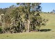 786 Weetah Road, Deloraine TAS 7304