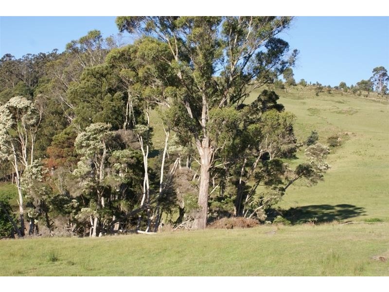 786 Weetah Road, Deloraine TAS 7304