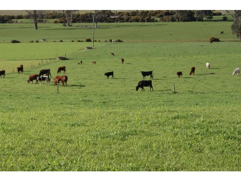 14487 Highland Lakes Road, Deloraine TAS 7304