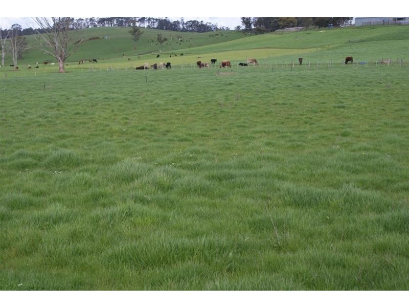 14487 Highland Lakes Road, Deloraine TAS 7304