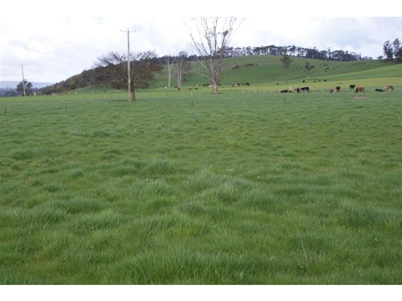 14487 Highland Lakes Road, Deloraine TAS 7304