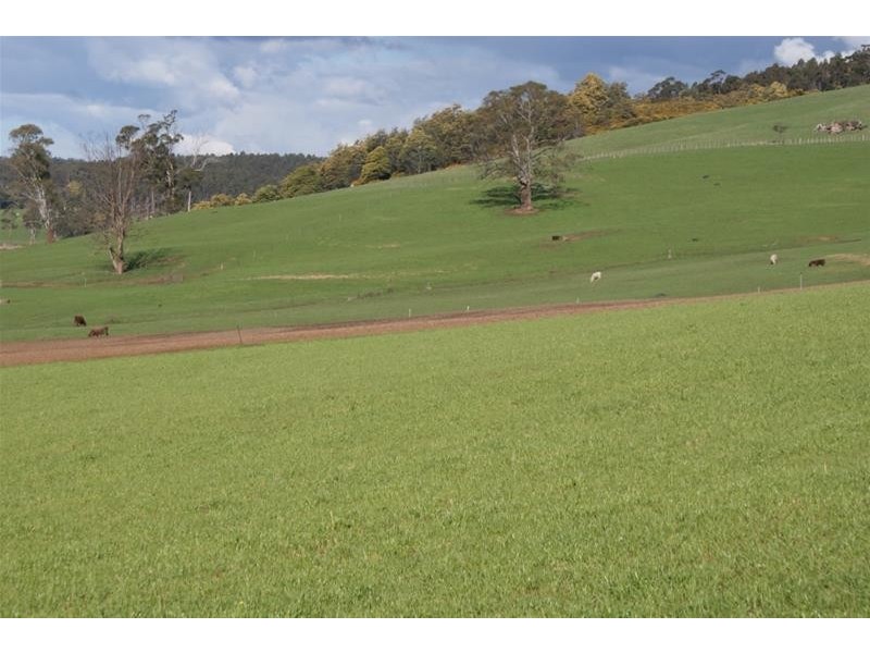 14487 Highland Lakes Road, Deloraine TAS 7304