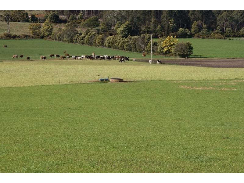 14487 Highland Lakes Road, Deloraine TAS 7304