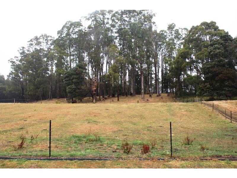 478 Union Bridge Road, Mole Creek TAS 7304