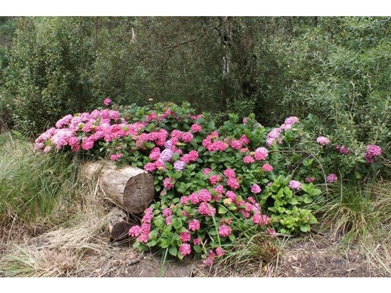 Lot 1 Mole Creek Road, Chudleigh TAS 7304