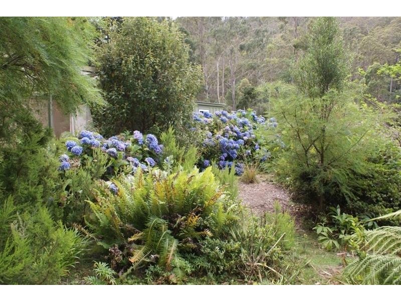Lot 1 Mole Creek Road, Chudleigh TAS 7304
