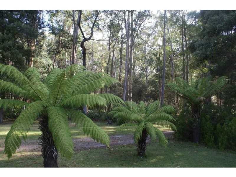 Lot 1 Mole Creek Road, Chudleigh TAS 7304